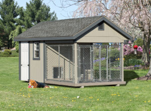 Dog Kennel in the backyard