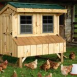 Wooden Chicken Coop