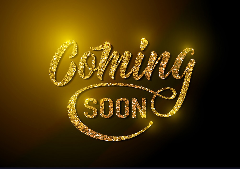 2 car dark gray garage with white trim and shingled roof, side door and windows